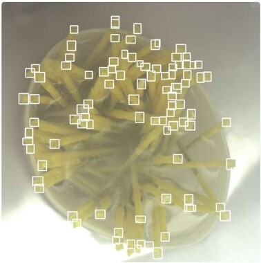 AI detection of yellow straws