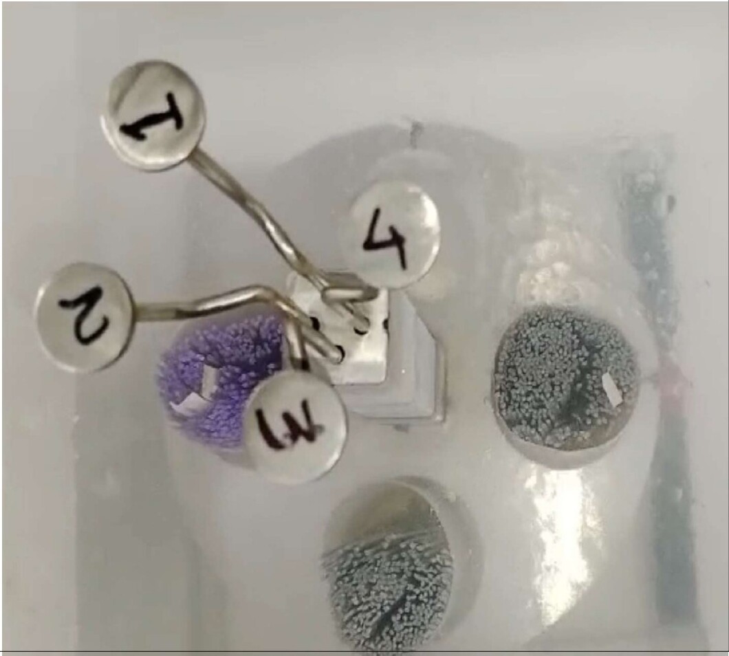 Goblets in liquid nitrogen